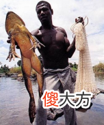 眼睛这么大的青蛙 眼睛很大的青蛙