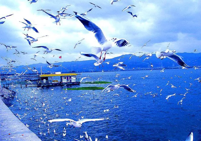 人，总是这样，别人扶了你一把，也许你很快就忘了，别人踩了你一脚，也许你永记心中