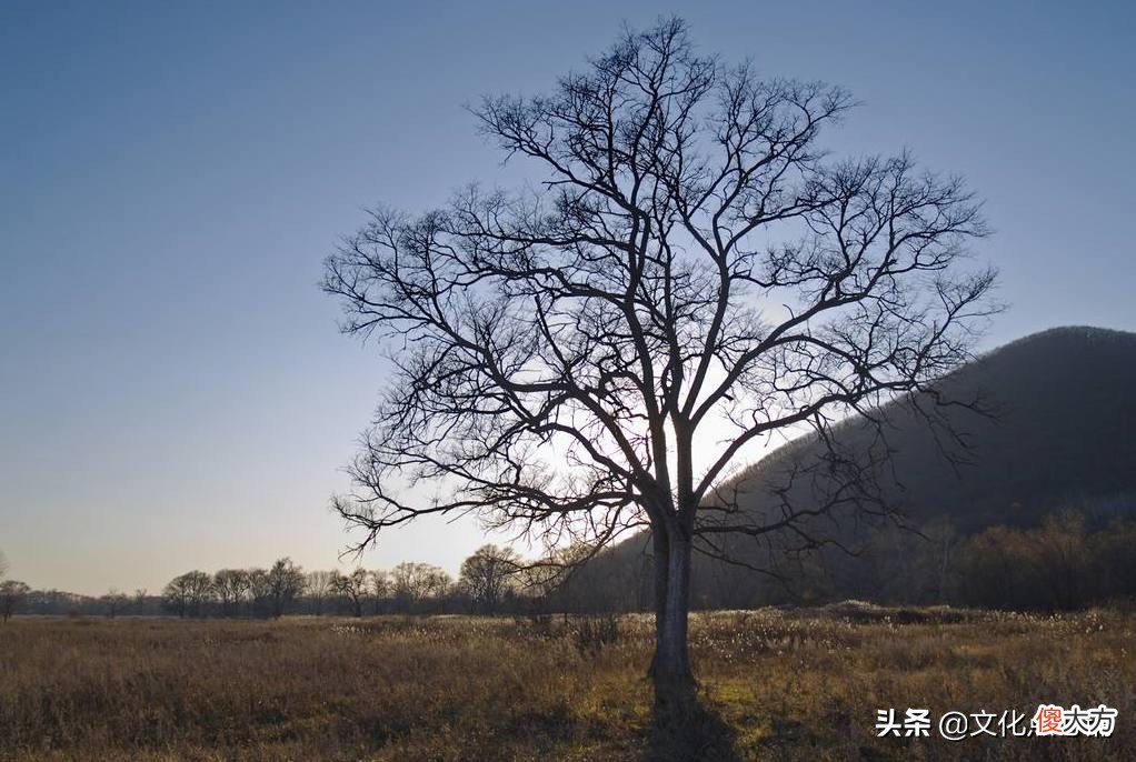 他是北宋无名诗人 北宋诗人都有谁
