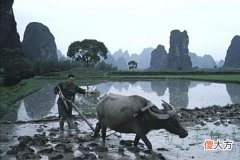【爱历史】1985年中国农村历史老照片：没想到80年代的农村是这样子