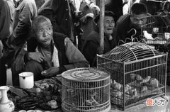 【历史故事】外国人拍摄的1982年中国老照片：想不到80年代的中国是这样子