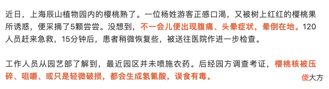 哪些常见水果的核 常见的核果类水果