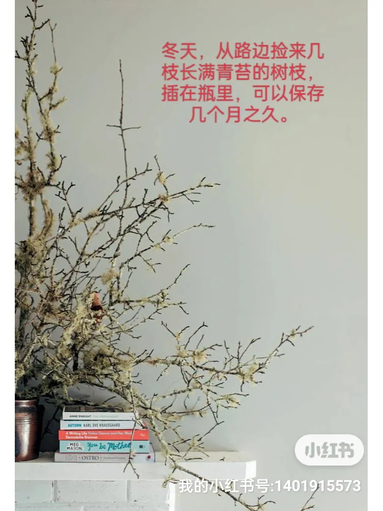 所有美好，从花开始有花为伴