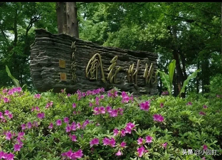 你知道杭州有个四季鲜花盛开，空气都带花香的地方吗？