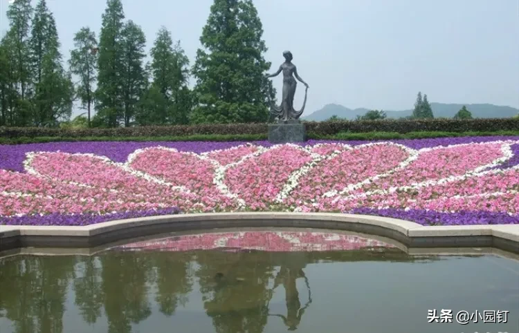 你知道杭州有个四季鲜花盛开，空气都带花香的地方吗？