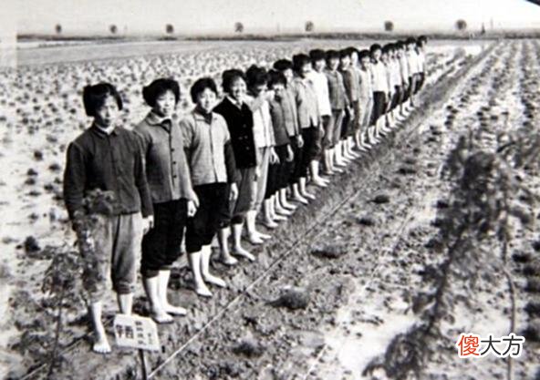 【爱历史】老照片：70年代的江阴华西村，那时“天下第一村”就已经很富强了
