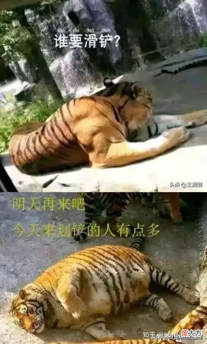 根据气味判断家里是否甲醛超标可行吗 如何判断家里是否甲醛超标