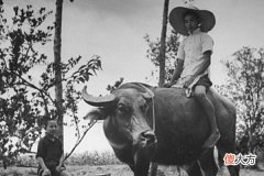 【历史故事】1941年的成都龙泉驿，平静安逸的百姓生活