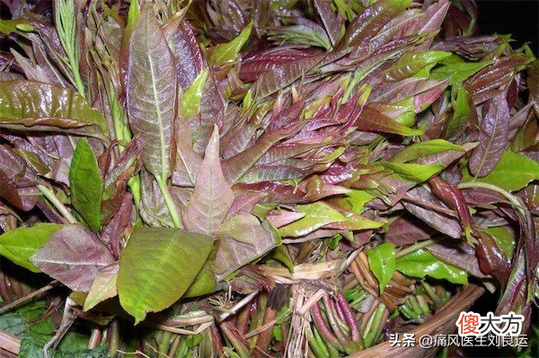 香椿、地菜皮、芥菜等春季时令菜，痛风患者可以吃哪些？怎么吃？