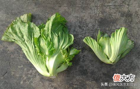 香椿、地菜皮、芥菜等春季时令菜，痛风患者可以吃哪些？怎么吃？