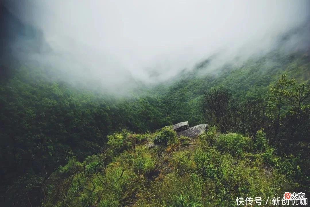 【星座控】2022下半年，月老坐镇，真爱来敲门，将牵手幸福，相伴一生的生肖