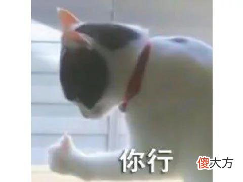 【游戏世界】中国最强科幻IP要做成游戏？网友猜测卡牌玩法，表示希望B社来做