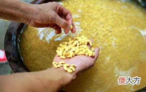 记住杂粮和细粮搭配公式 粗粮和细粮搭配
