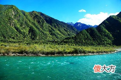 12生肖和五行的对应关系