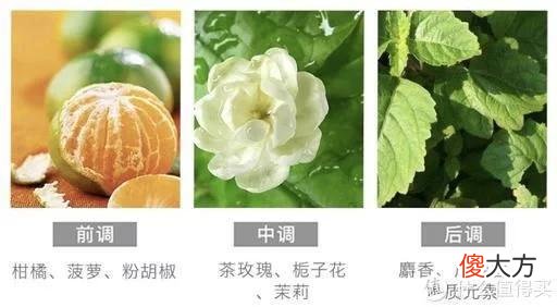 【就爱时尚】买买买就对了！ 篇二：任何人不知道这几个又好看又好闻的Q版香水，我都会伤心的OK？！