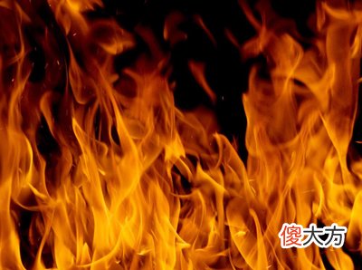 地支藏天干需数量化