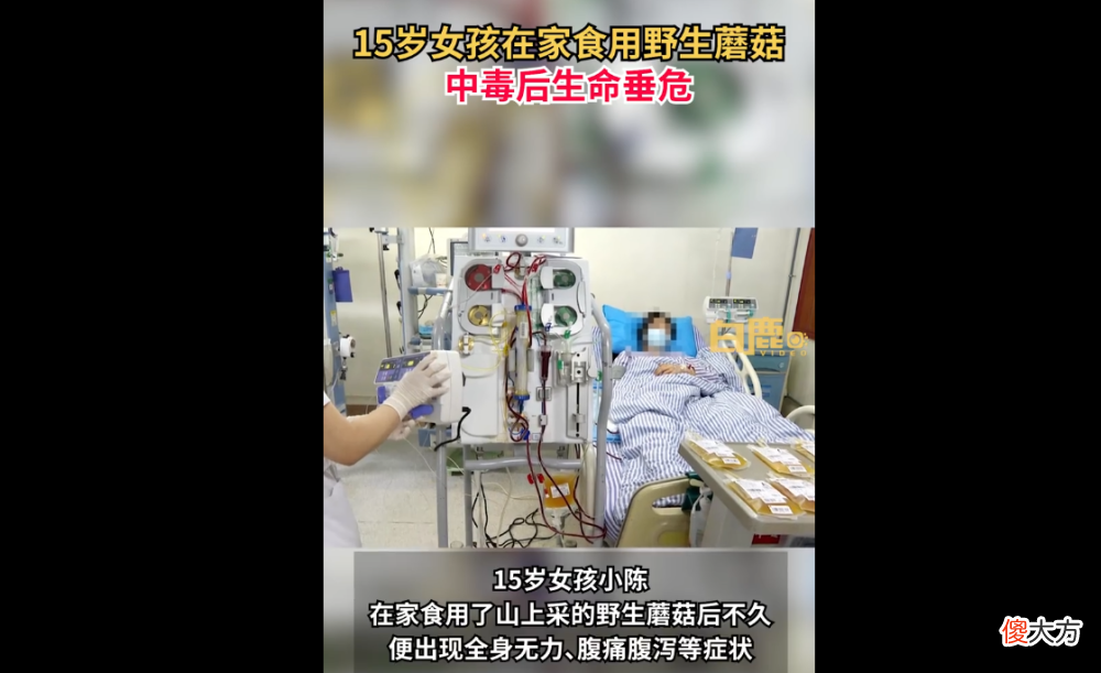 【游戏世界】女子吃菌中毒疯狂扯线！中毒迷惑行为大赏？网友：好想看小人跳舞