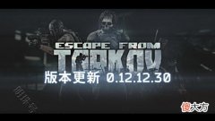 【游戏迷】逃离塔科夫登录次数上限错误230验证加载不出错误214
