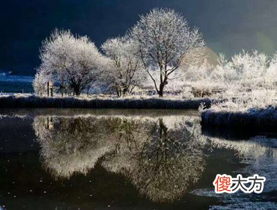 丙火生于丑月