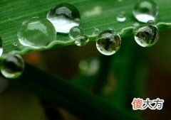 乙木生于卯月
