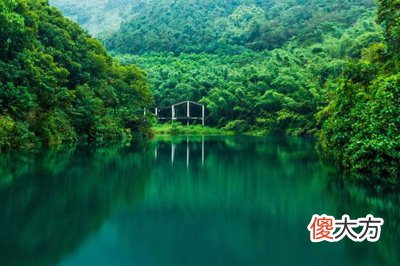 丙火生于卯月