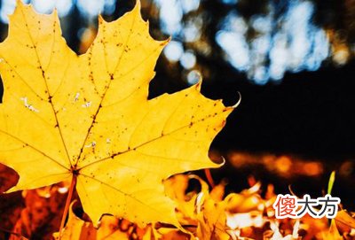 丙火生于申月