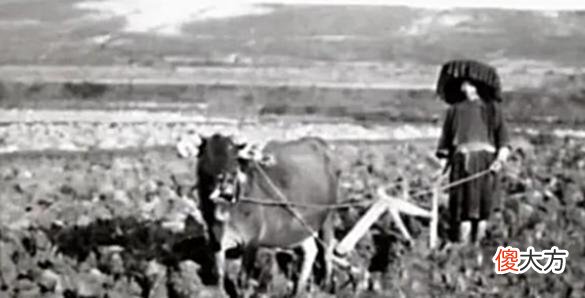 【爱历史】老照片：深圳1973年的10张照片，带你重温当年的美好岁月