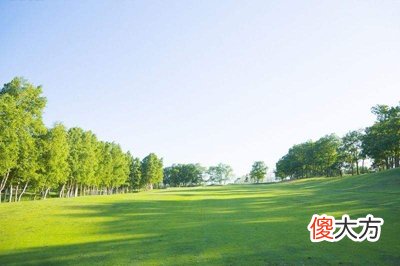 甲木生于辰月