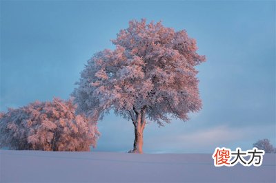 乙木生于子月