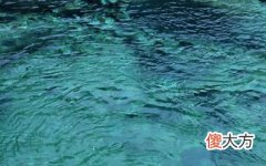 丙火生于寅月