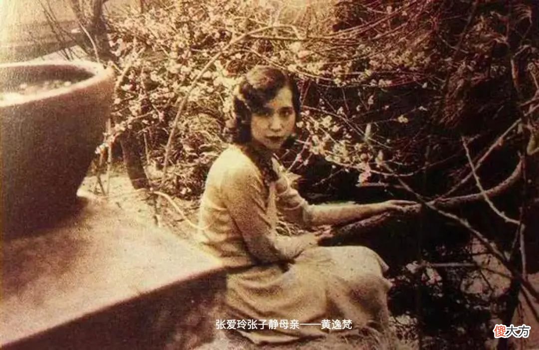 【历史故事】母亲病危后写信给张爱玲，她只寄去100美元，收到遗物却大病一场