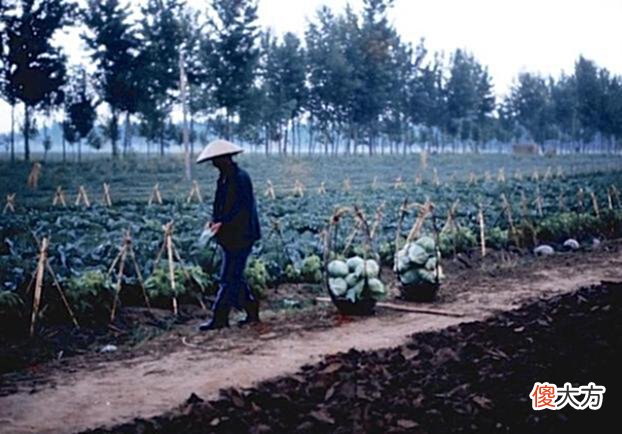 【历史故事】老照片：直击1980年的北京，那时候买套房现在会怎么样？
