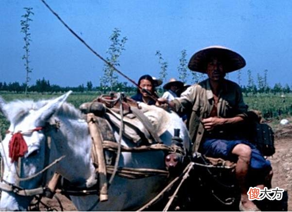 【历史故事】老照片：直击1980年的北京，那时候买套房现在会怎么样？