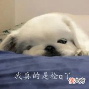 我真的拴q了怎么回复| 我真的拴q了怎么回复