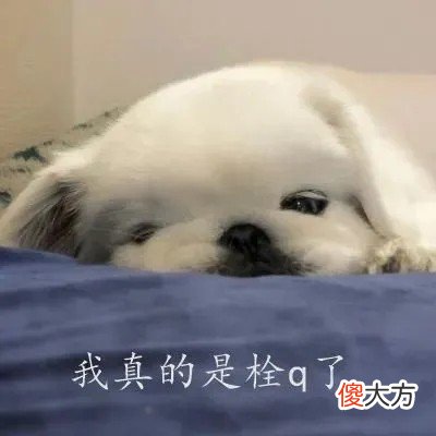 我真的拴q了怎么回复| 我真的拴q了怎么回复