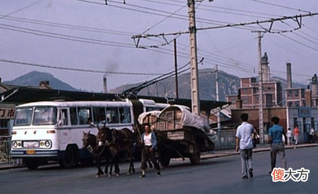 【历史故事】1983年的辽宁大连老照片：图2建筑当年很洋气，图6街道出奇的干净