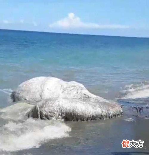它们来自地底还是外星？南极突现不明生物，白色，人形，高达30米