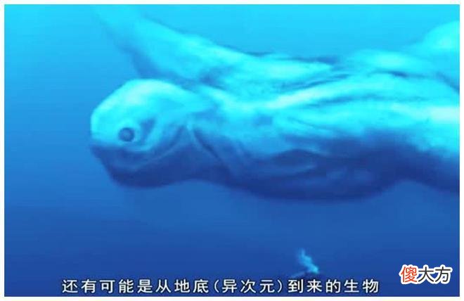 它们来自地底还是外星？南极突现不明生物，白色，人形，高达30米