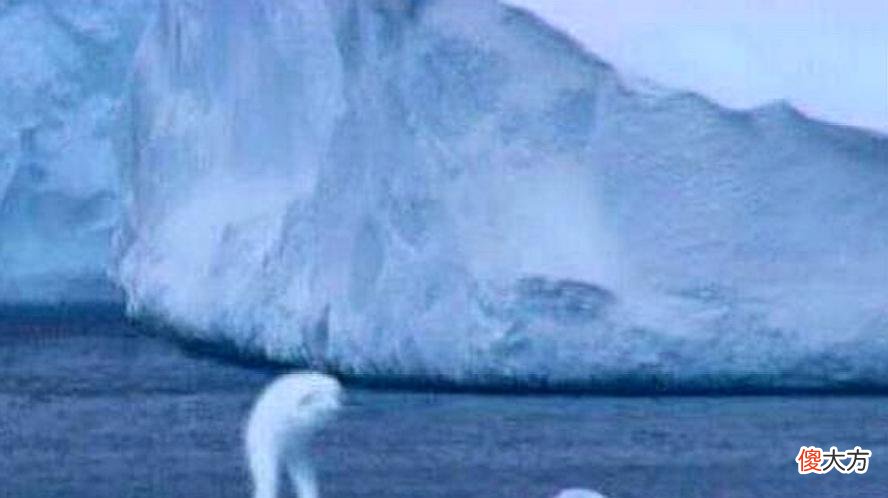 它们来自地底还是外星？南极突现不明生物，白色，人形，高达30米