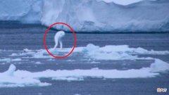 它们来自地底还是外星？南极突现不明生物，白色，人形，高达30米