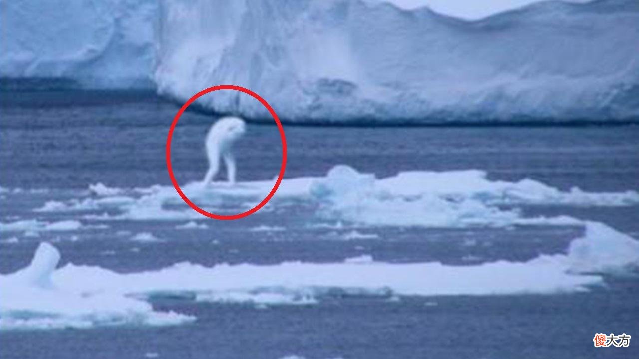 它们来自地底还是外星？南极突现不明生物，白色，人形，高达30米