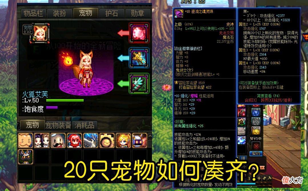 【游戏迷】DNF:宠物不够怎么办？这五个方法一定要收藏，凑齐20只易如反掌！