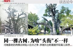 【爱历史】河南最古老的两株柏树5000岁，刘秀封其将军柏，谁大谁小错了40年
