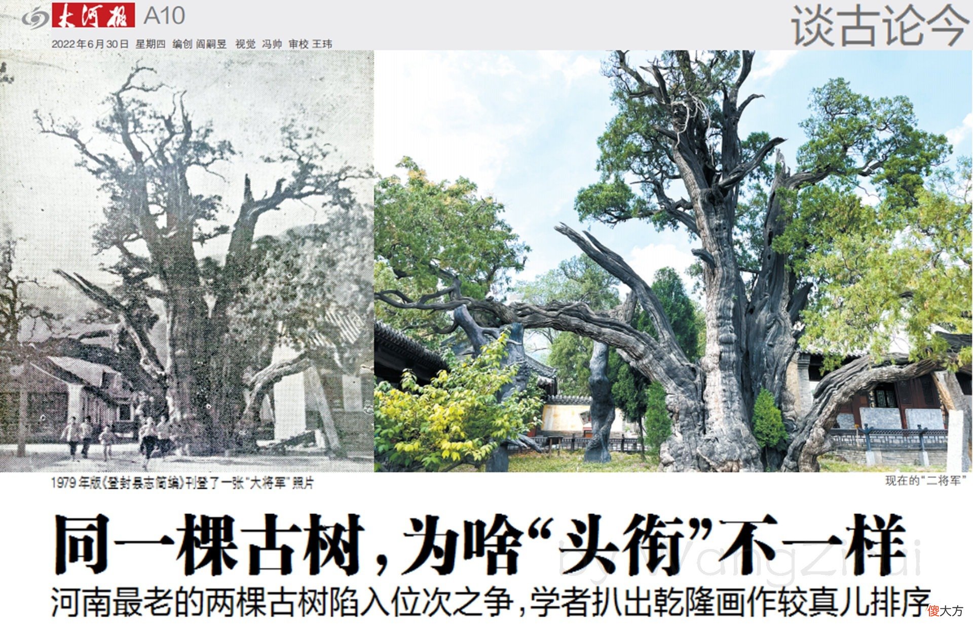 【爱历史】河南最古老的两株柏树5000岁，刘秀封其将军柏，谁大谁小错了40年