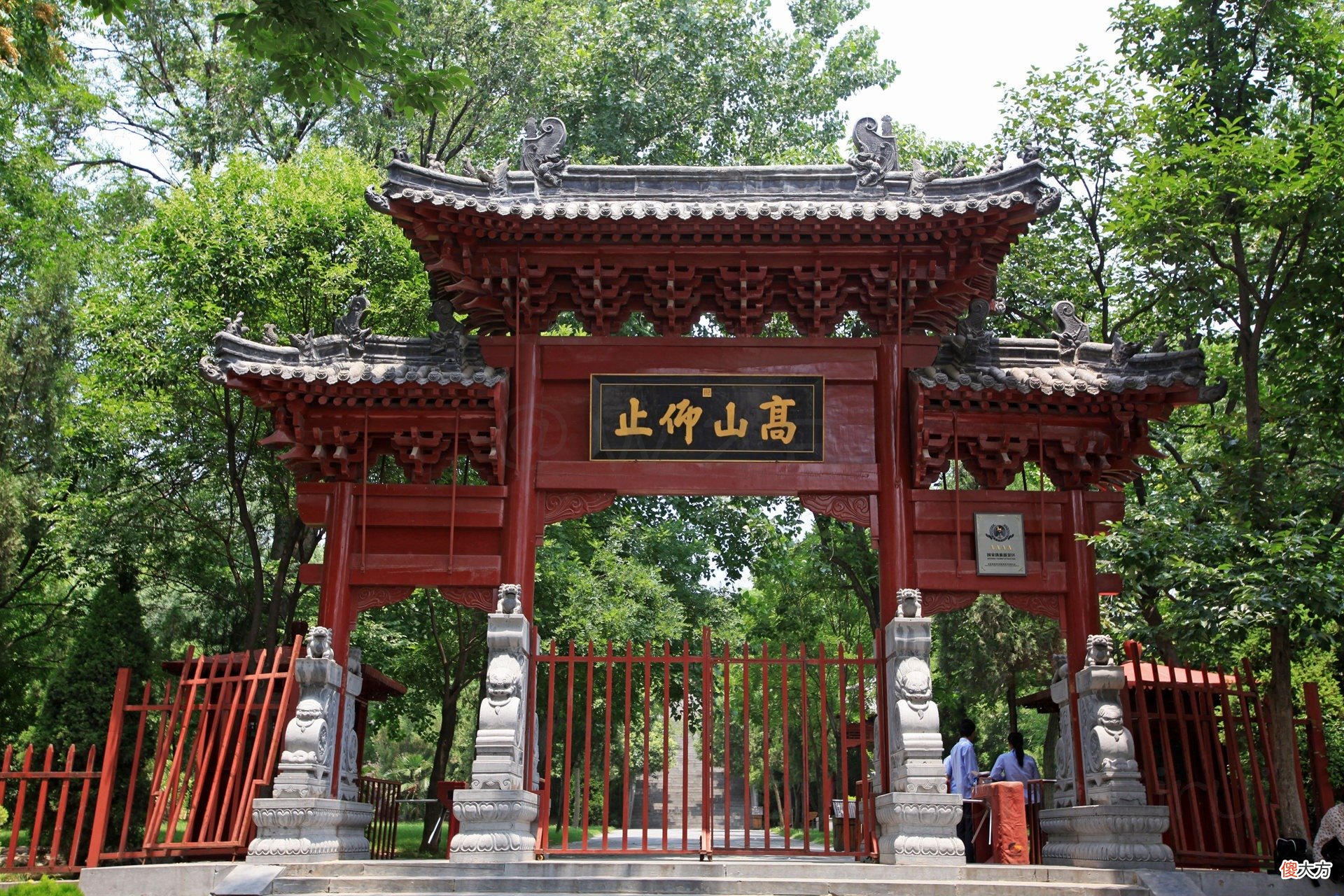 【爱历史】河南最古老的两株柏树5000岁，刘秀封其将军柏，谁大谁小错了40年