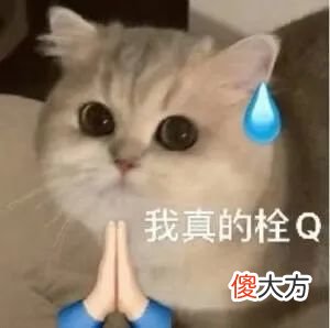 【时尚一点】又一个投胎高手要出生了，父母这是真的双双顶尖颜值＋财力吧…