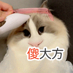 【时尚一点】又一个投胎高手要出生了，父母这是真的双双顶尖颜值＋财力吧…