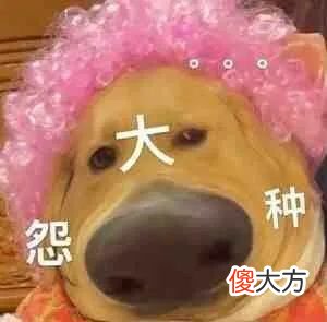 【时尚一点】又一个投胎高手要出生了，父母这是真的双双顶尖颜值＋财力吧…