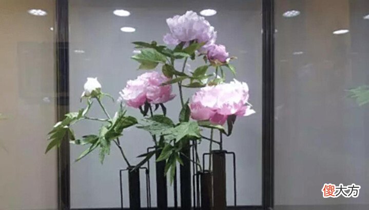 【爱历史】清朝皇后佩戴的通草花,全国只剩两位八旬老翁会做,技艺面临失传