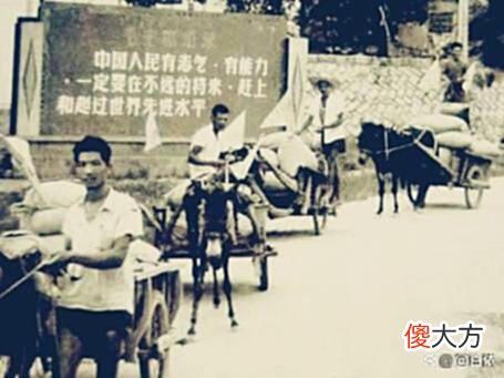 【爱历史】80年代的中国珍贵老照片：图一是考驾照，最后的女生太吸引人了